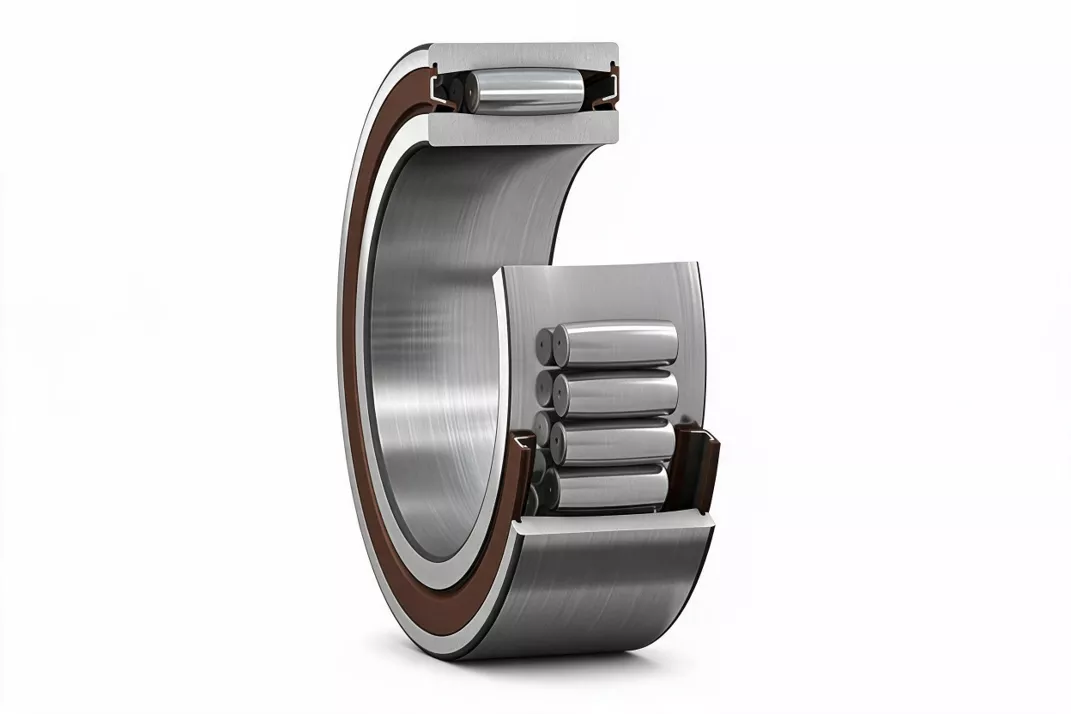 Toroidal Roller Bearing