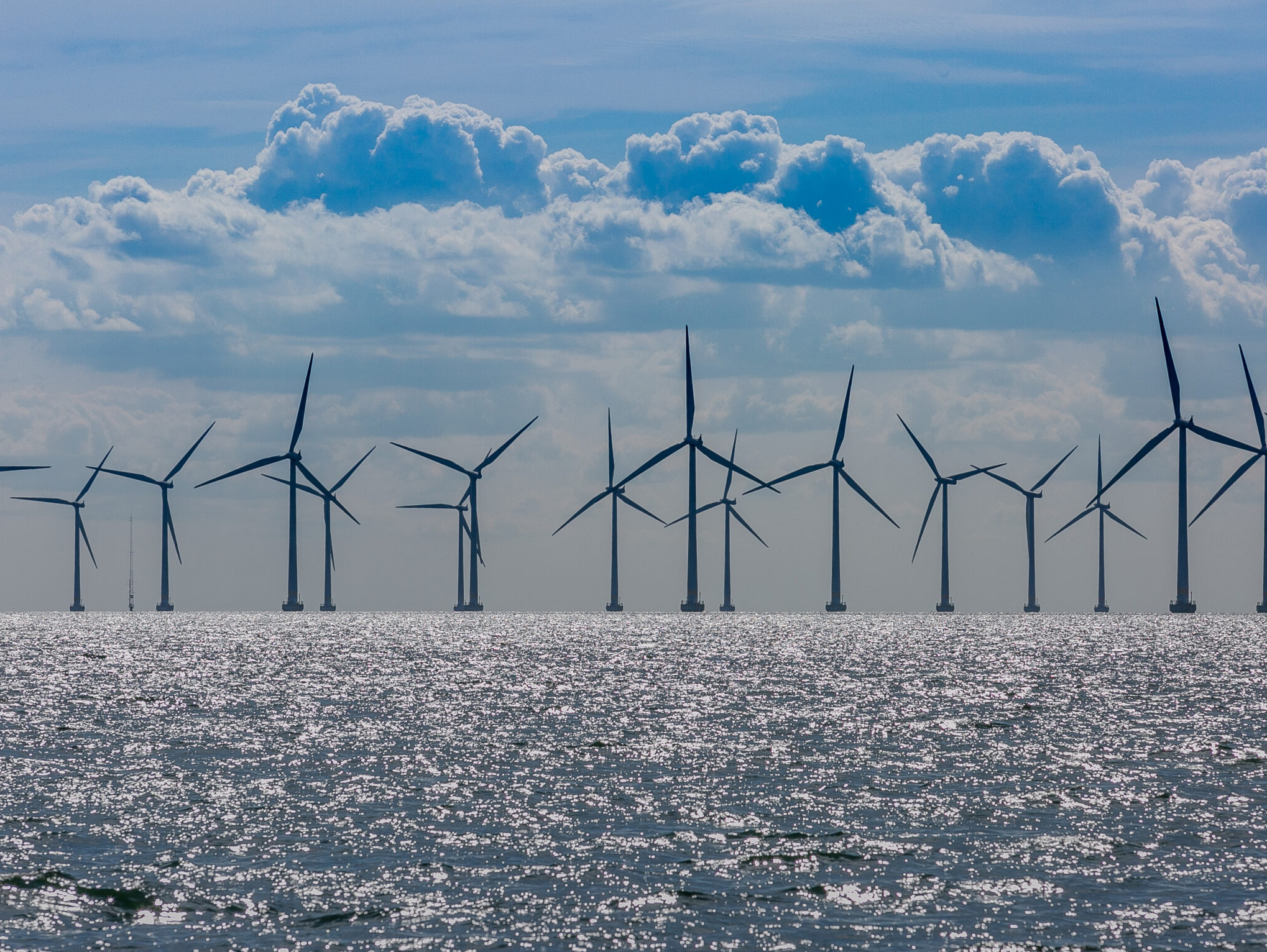 In 2025, Germany's wind power industry collectively seeks change!